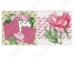 (image for) Pink Peony