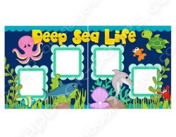 (image for) Deep Sea Life