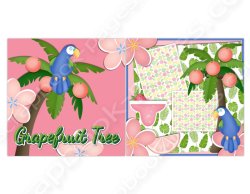 (image for) Grapefruit Tree