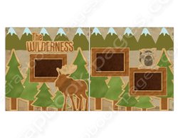 (image for) The Wilderness