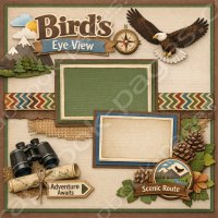 Bird's Eye View (image for) Bird's Eye View