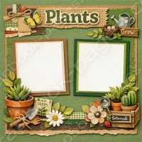 Plants (image for) Plants