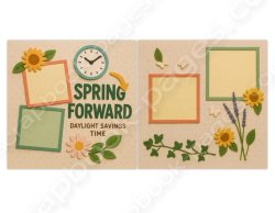 (image for) Spring Forward