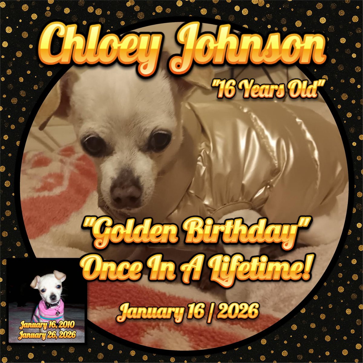 Chloey Johnson — 16 years old, Golden Birthday, January 16, 2026
